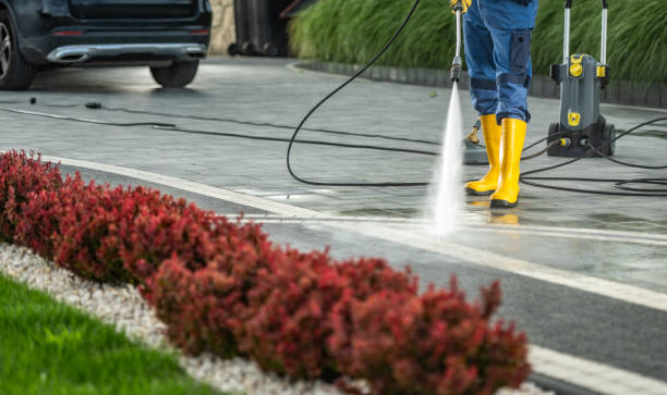 Best Soft Washing for Delicate Surfaces in Hideaway, TX
